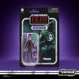 Star Wars The Vintage Collection Wave 30 COMPLETE SET OF 5 - Action Figures