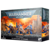 Warhammer 40,000: Space Marines – Bladeguard Veterans