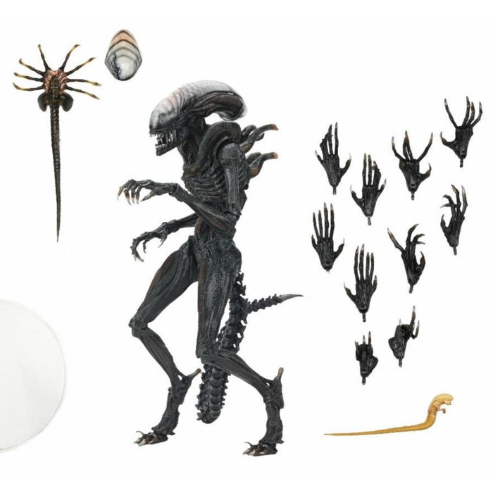 NECA Alien: Romulus Ultimate Scorched Xenomorph