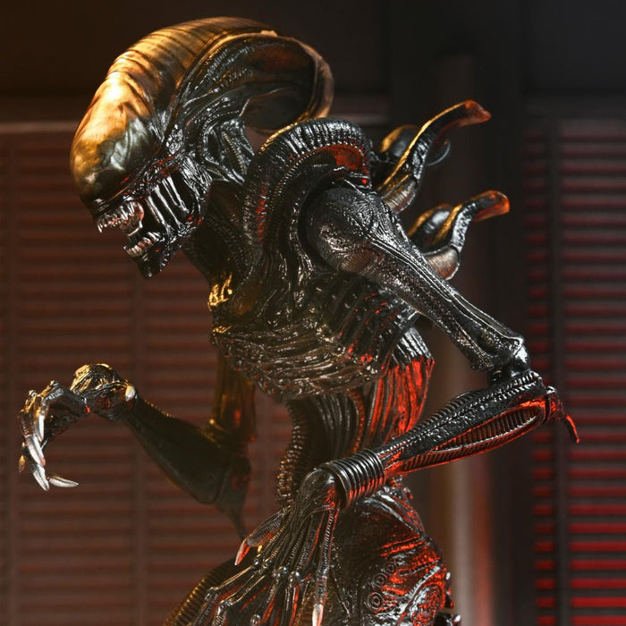 NECA Alien: Romulus Ultimate Scorched Xenomorph