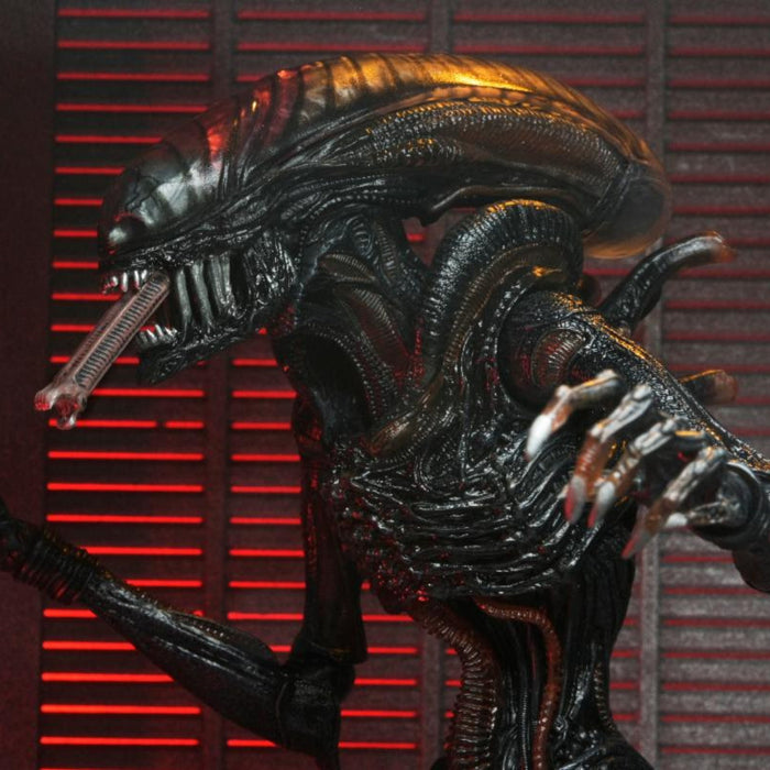 NECA Alien: Romulus Ultimate Scorched Xenomorph