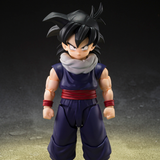 S.H.Figuarts Dragon Ball Z Fighters Limited Edition Son Gohan