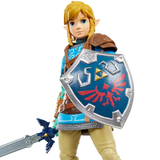 The Legend Of Zelda: Heroes Of Hyrule Link