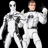 Marvel Legends Series Future Foundation Mister Fantastic & Spider-Man 2-Pack
