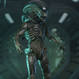 NECA Alien Earth Ultimate Xenomorph