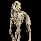 Mythic Legions Reinforcements 3 Skeleton Steed Legion Builder