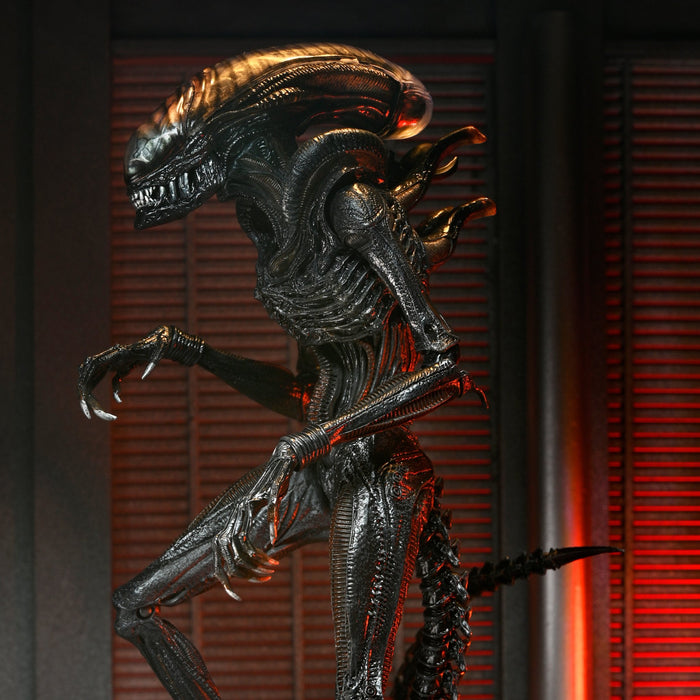 NECA Alien: Romulus Ultimate Scorched Xenomorph