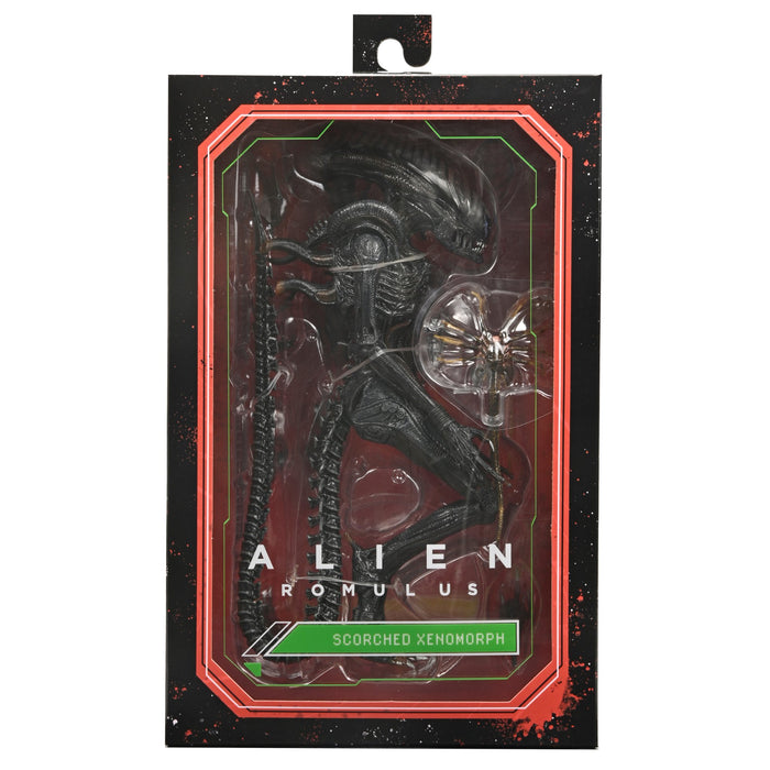 NECA Alien: Romulus Ultimate Scorched Xenomorph