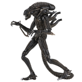 NECA Alien 1986 Ultimate Aliens Warrior (Brown Version)
