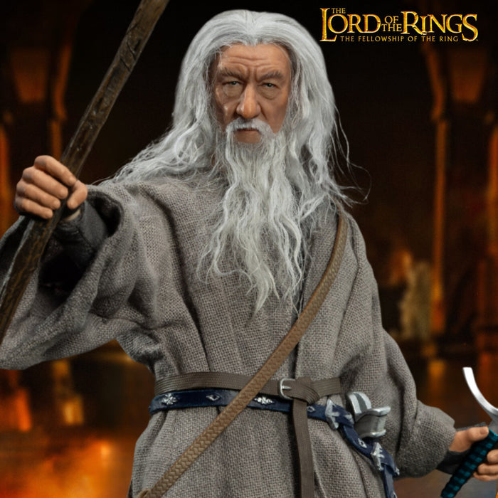 The Lord of the Rings Dynamic 8ction Heroes DAH-106P Gandalf The Grey