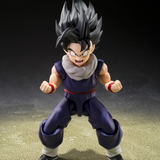 S.H.Figuarts Dragon Ball Z Fighters Limited Edition Son Gohan