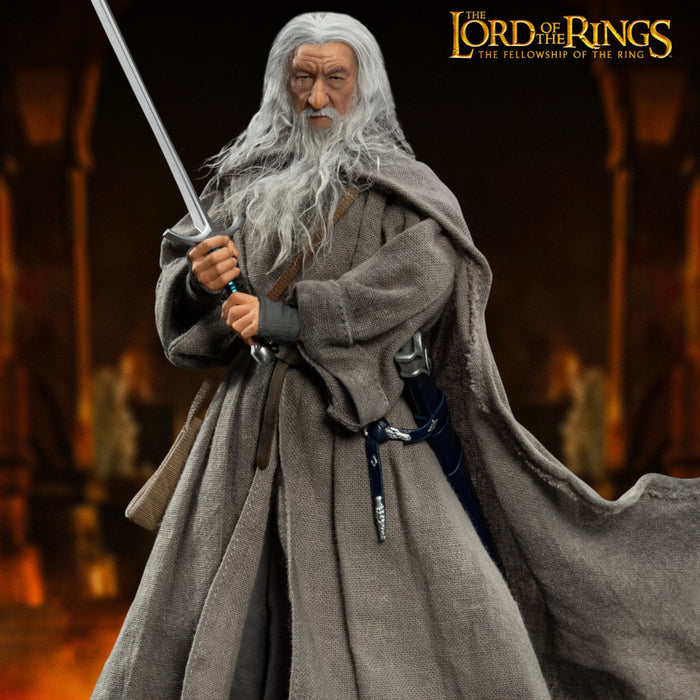 The Lord of the Rings Dynamic 8ction Heroes DAH-106P Gandalf The Grey