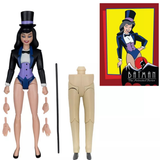 DC Direct Batman: The Animated Series Wave 7 Zatanna (Clock King BAF)