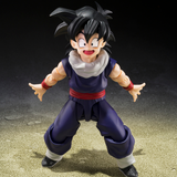 S.H.Figuarts Dragon Ball Z Fighters Limited Edition Son Gohan