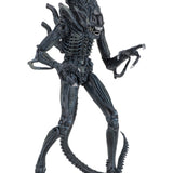NECA Alien 1986 Ultimate Aliens Warrior (Blue Version)