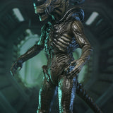 NECA Alien Earth Ultimate Xenomorph