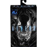 NECA Aliens 40th Anniversary Ultimate Warrior Xenomorph