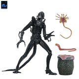 NECA Aliens 40th Anniversary Ultimate Warrior Xenomorph