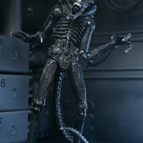 NECA Aliens 40th Anniversary Ultimate Warrior Xenomorph