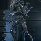 NECA Aliens 40th Anniversary Ultimate Warrior Xenomorph