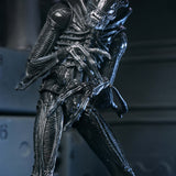 NECA Aliens 40th Anniversary Ultimate Warrior Xenomorph