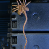 NECA Aliens 40th Anniversary Ultimate Warrior Xenomorph