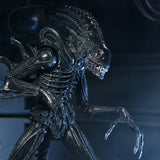 NECA Aliens 40th Anniversary Ultimate Warrior Xenomorph