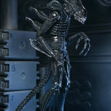 NECA Aliens 40th Anniversary Ultimate Warrior Xenomorph