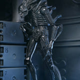 NECA Aliens 40th Anniversary Ultimate Warrior Xenomorph
