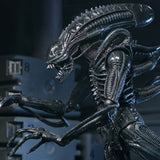 NECA Aliens 40th Anniversary Ultimate Warrior Xenomorph