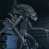 NECA Aliens 40th Anniversary Ultimate Warrior Xenomorph