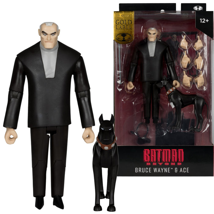 DC Direct SDCC Exclusive Gold Label Bruce Wayne and Ace (Batman Beyond)