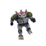 NECA Teenage Mutant Ninja Turtles Robo Tokka and Rahzar 2-Pack (1987 Cartoon)