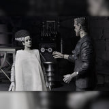 NECA Universal Monsters Bride Of Frankenstein 90th Anniversary The Monster & His Mate 2-Pack (Black & White)