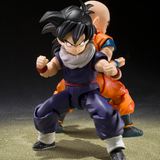 S.H.Figuarts Dragon Ball Z Fighters Limited Edition Son Gohan