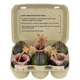 NECA Aliens 40th Anniversary Carton of Alien Eggs 6-Pack Accessory Pack