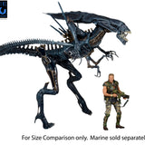NECA Aliens Ultra Deluxe 40th Anniversary Alien Queen