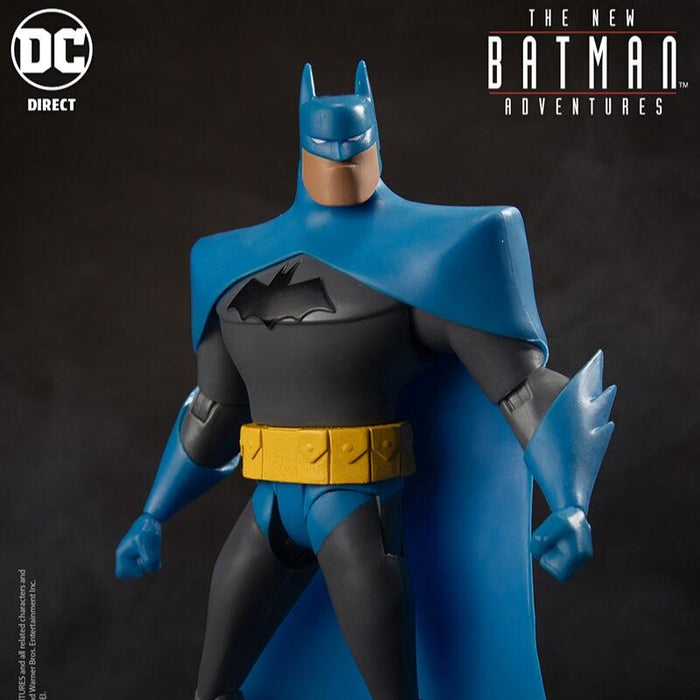 DC Direct New Batman Adventures Batman (Blue/Grey Suit)