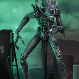 NECA Alien 1986 Ultimate Aliens Warrior (Blue Version)