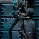 NECA Alien 1986 Ultimate Aliens Warrior (Blue Version)