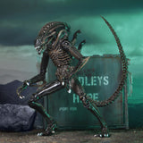 NECA Alien 1986 Ultimate Aliens Warrior (Brown Version)