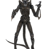 NECA Alien 1986 Ultimate Aliens Warrior (Brown Version)