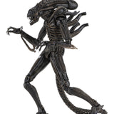 NECA Alien 1986 Ultimate Aliens Warrior (Brown Version)