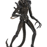 NECA Alien 1986 Ultimate Aliens Warrior (Brown Version)