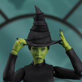 S.H. Figuarts Wicked Elphaba