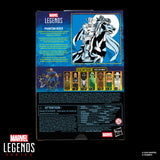 Marvel Legends Series Phantom Rider (Executioner BAF)