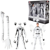 Marvel Legends Series Future Foundation Mister Fantastic & Spider-Man 2-Pack