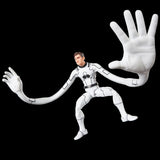Marvel Legends Series Future Foundation Mister Fantastic & Spider-Man 2-Pack