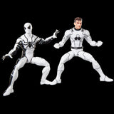Marvel Legends Series Future Foundation Mister Fantastic & Spider-Man 2-Pack