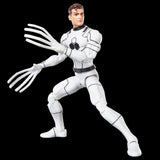 Marvel Legends Series Future Foundation Mister Fantastic & Spider-Man 2-Pack